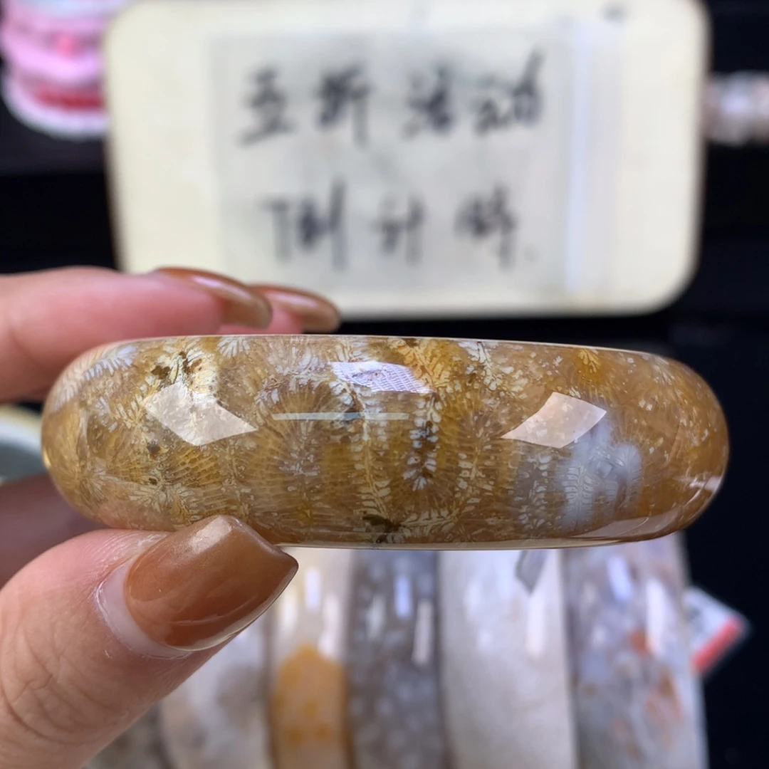 硅化珊瑚（珊瑚玉）未镶嵌颈饰精美手镯五折55.4口（95号）