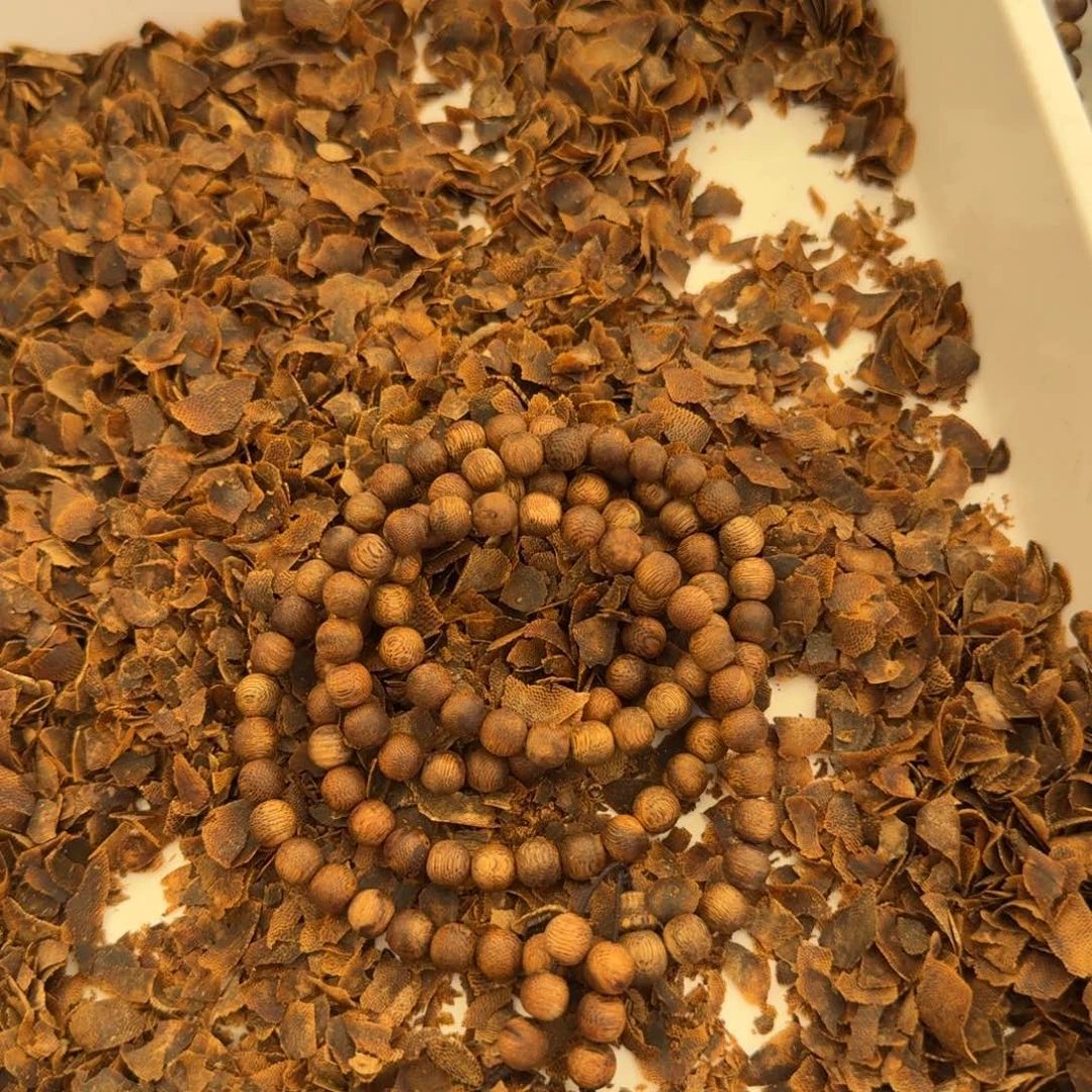 沉香碎屑沉香海南张勺子红油0.7大➕碎屑多样性发一