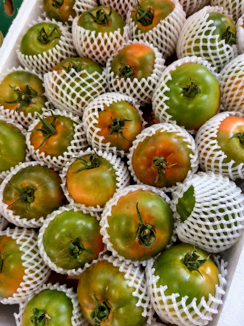 {精品果}5斤盘锦碱地柿子铁皮草莓柿子