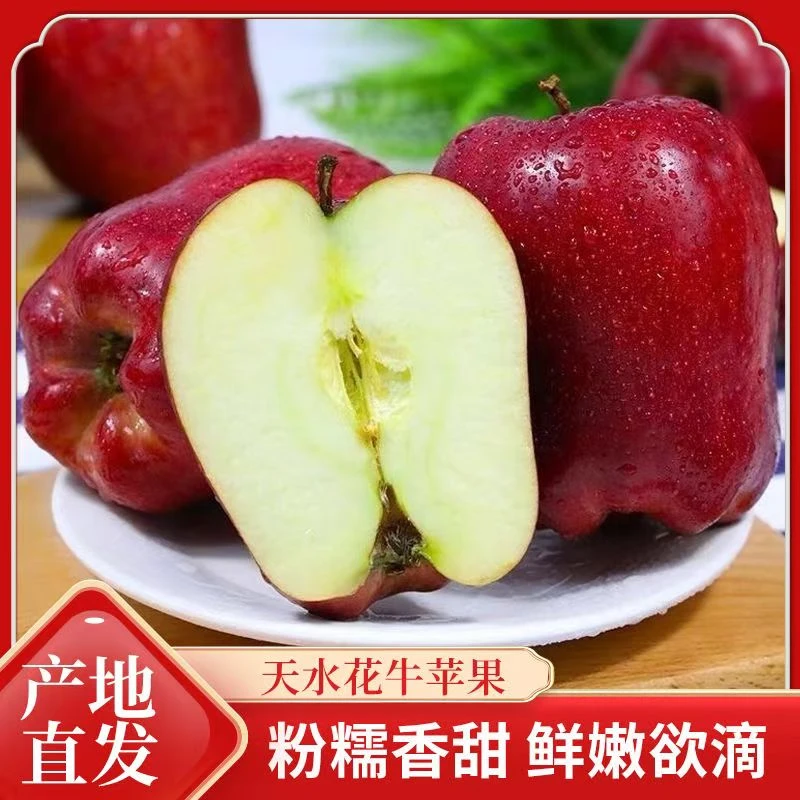 【精美礼盒装送礼佳品】正宗甘肃花牛苹果新鲜水果当季水果脆甜粉面