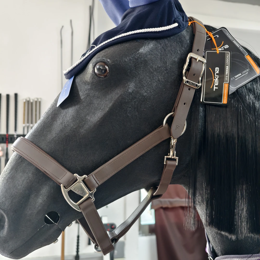 马术用品/马笼头