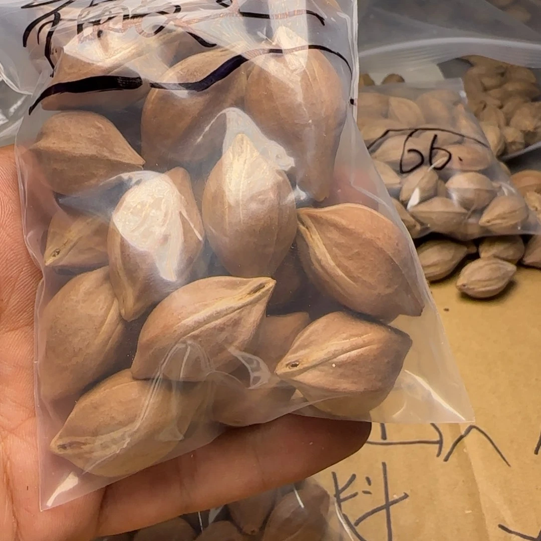 【闪购商品】橄榄核手串/手链Y*U111111111