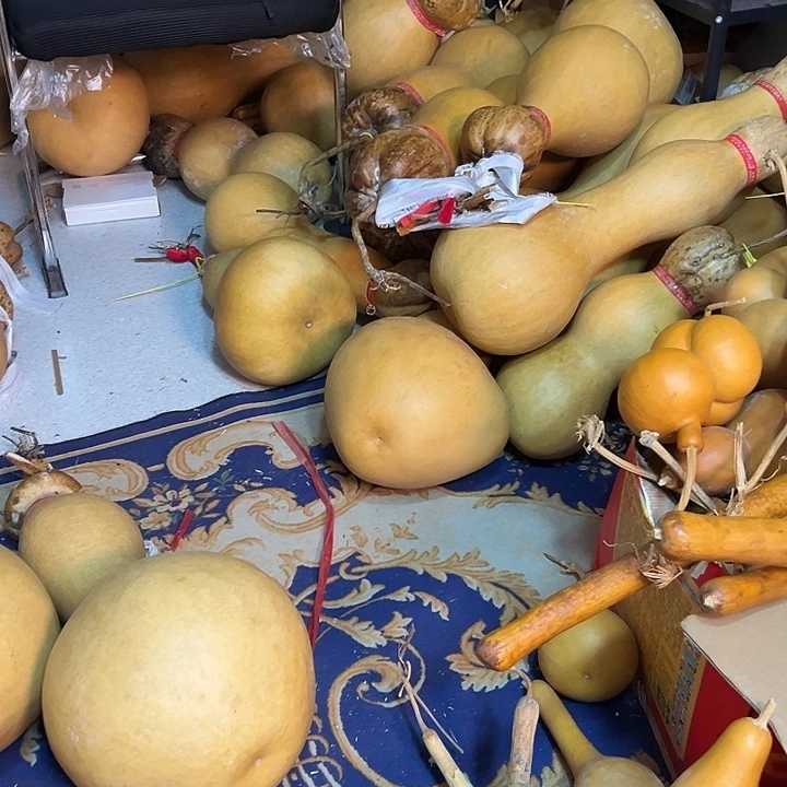 大***窝葫芦葫芦葫芦葫芦葫芦葫芦