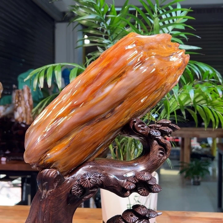 硅化玉（树化玉）未镶嵌珠宝奇石