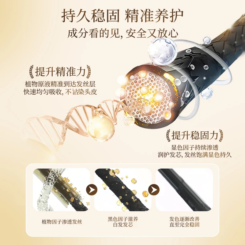 人参侧柏叶五倍子当归人参养发原液养发精华