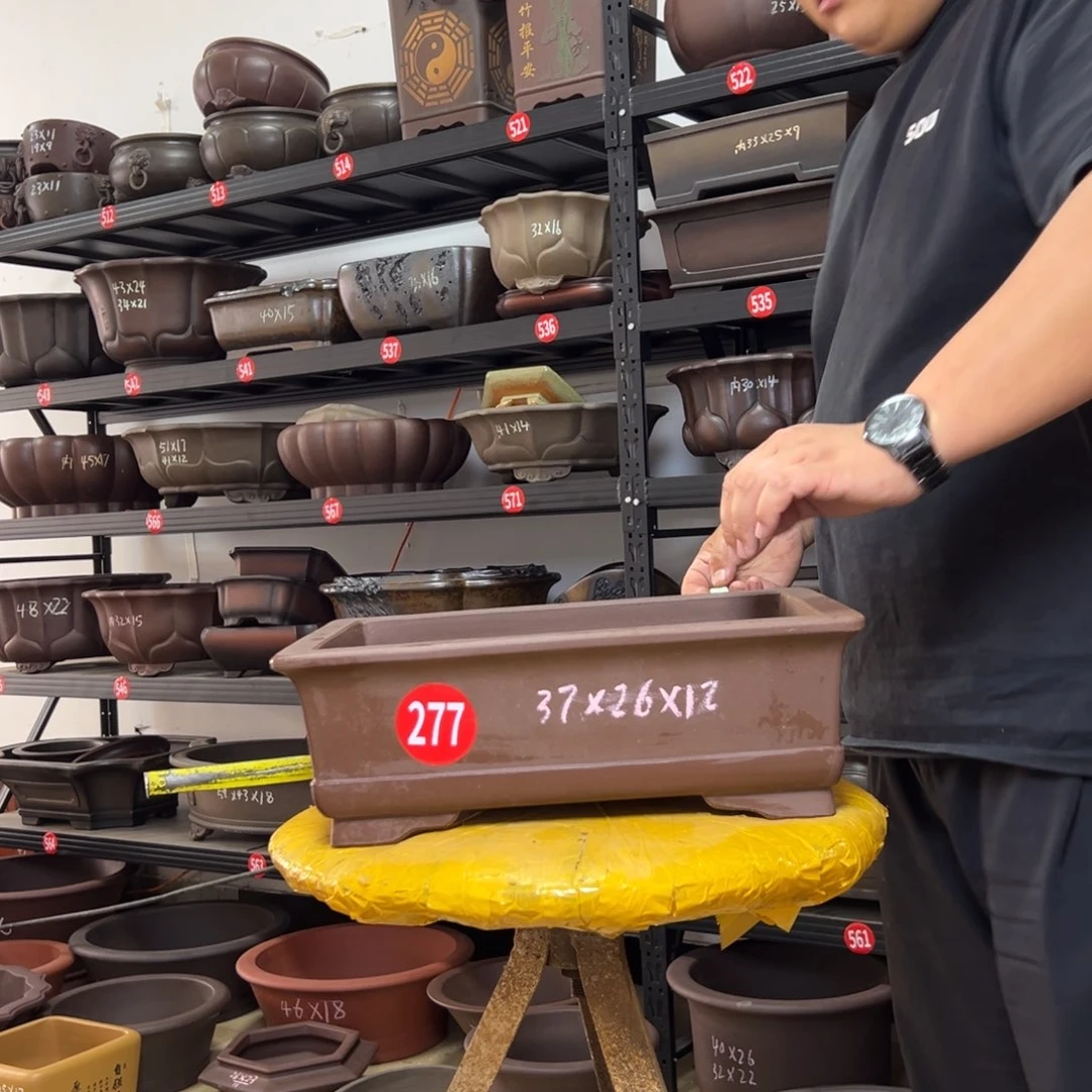 紫砂花盆呜呜呜呜呜我