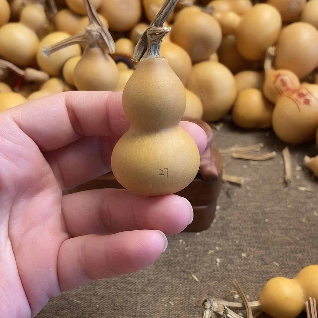 文玩葫芦 完美主义者 慎拍27