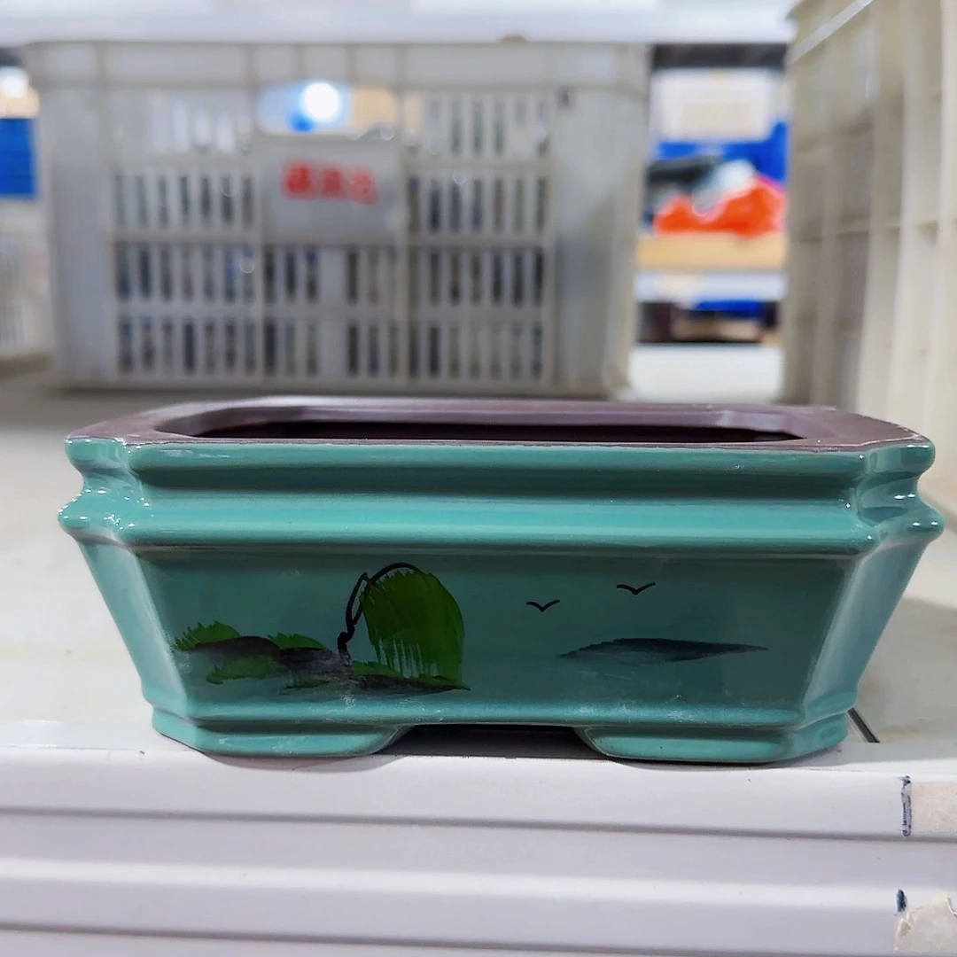 陶瓷花盆特价上新