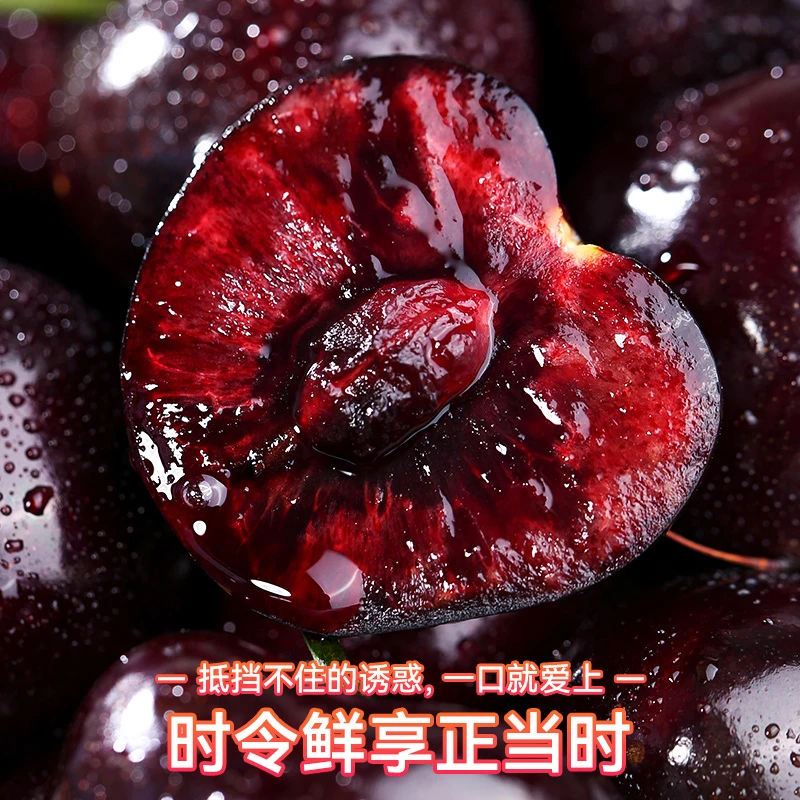 s【次日达】800g智利车厘子进口大樱桃脆甜新鲜水果包邮当季3JJJ内附果径卡海运桑提娜樱桃智利共和国