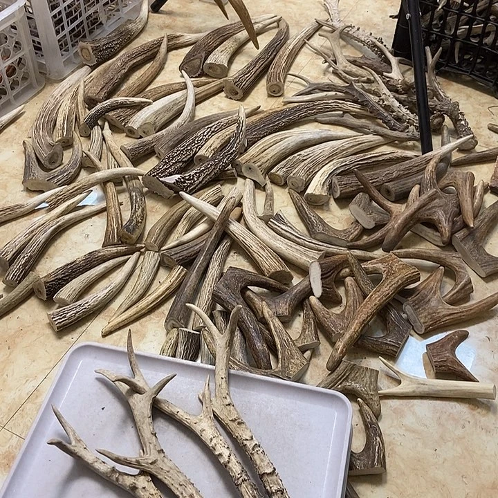 我***大叶紫檀（黑酸枝木类）