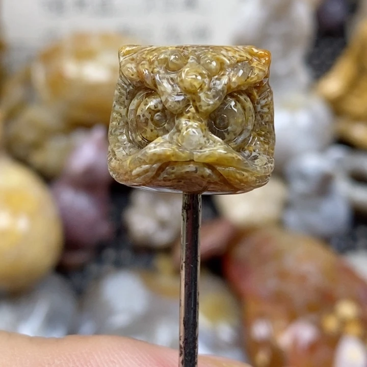 颈饰未镶嵌硅化珊瑚（珊瑚玉）