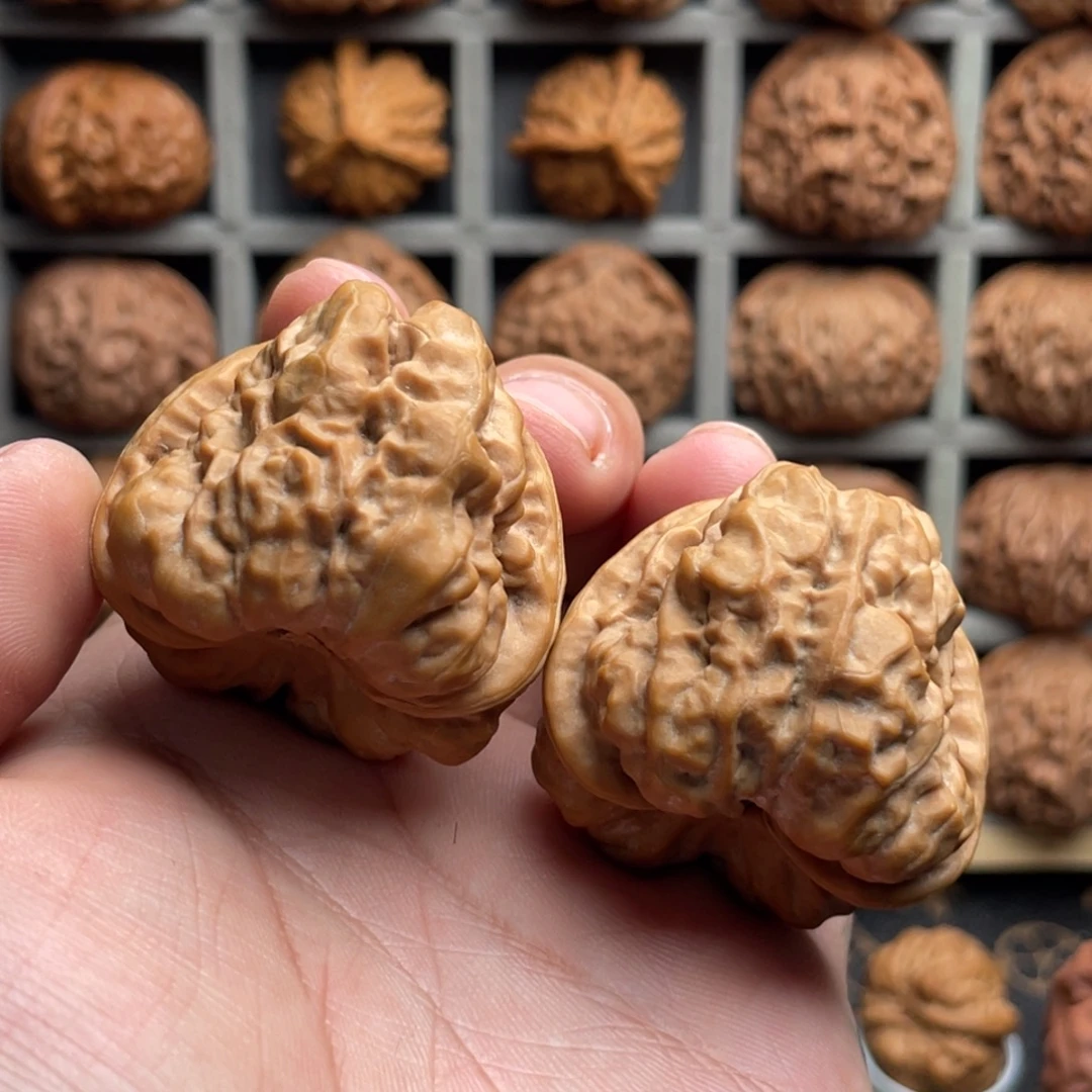 核桃手串/手链40微修蛤蟆头