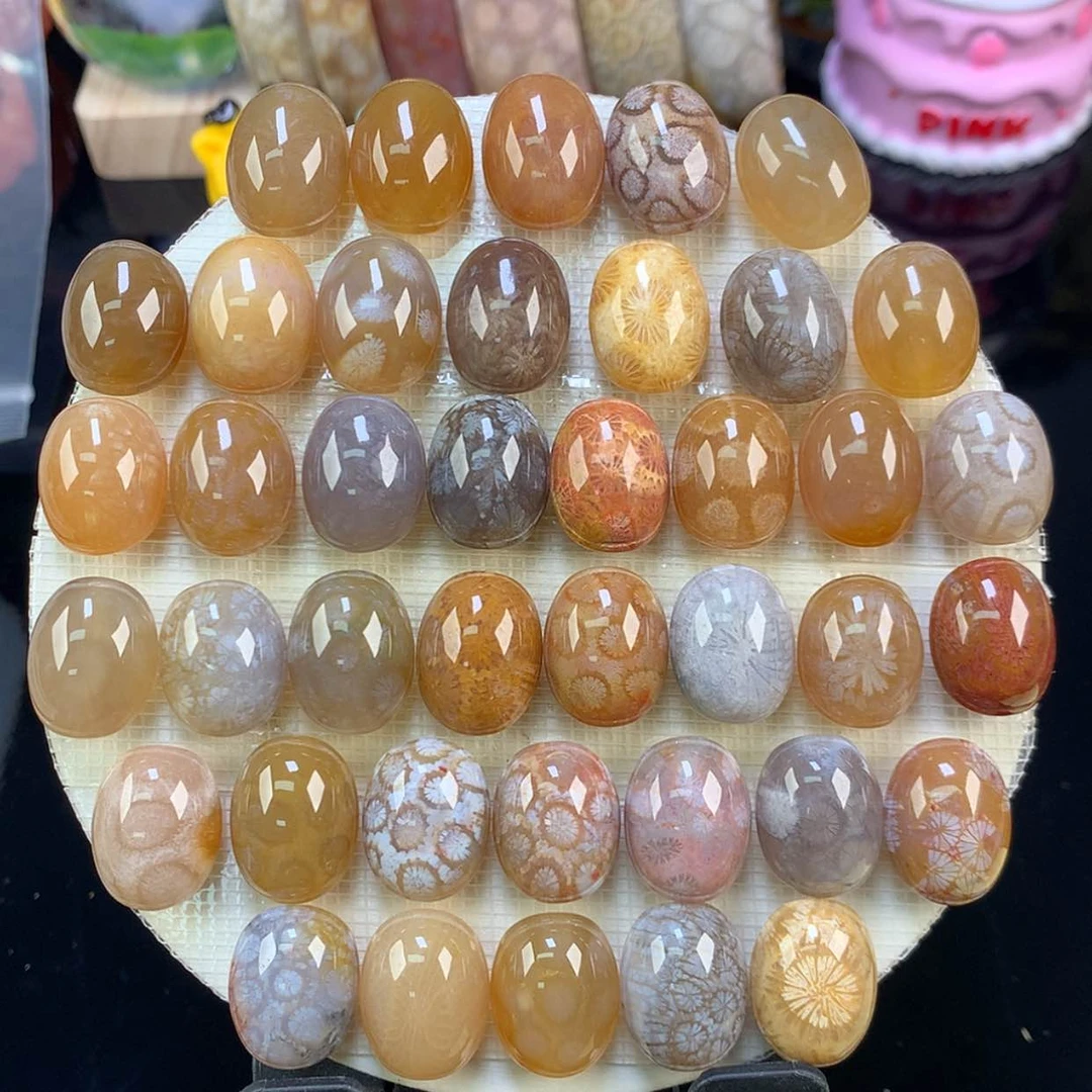 【闪购商品】颈饰未镶嵌硅化珊瑚（珊瑚玉）福利龟背50一个（57号）