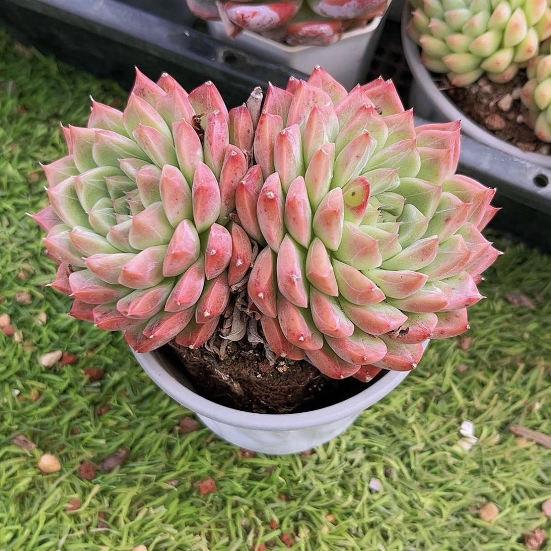 99999999999999999999999