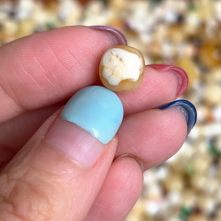 未镶嵌蜜蜡裸石9.4mm一个