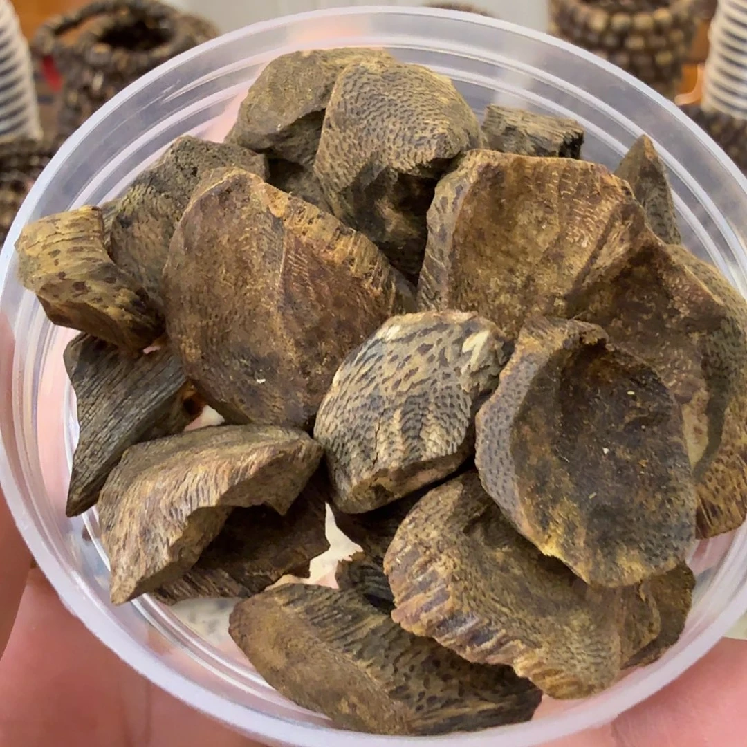 沉香碎屑沉香沉水树丁5克多样性发一