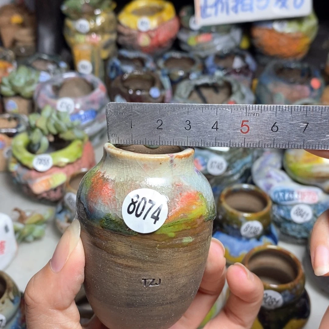 拍5送一个小礼物