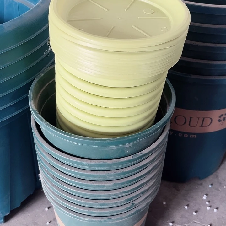 阿***丽瑕疵四季盆1号果绿色发10个加托1.5加伦飘带发8个