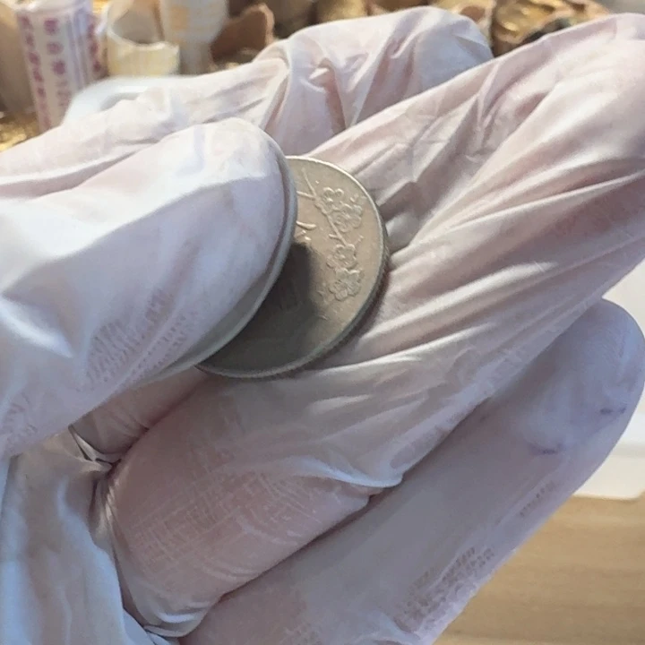 其他普通金属梅花10的，流通品