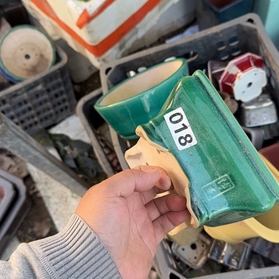 一定很有成就感哦笑起来超治愈哦这套