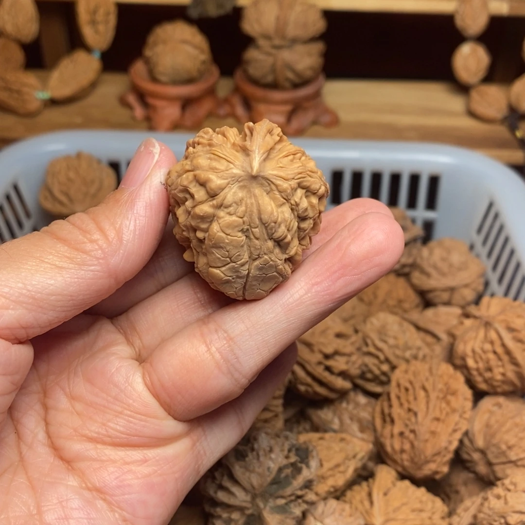 趋***正把件文玩核桃尺寸