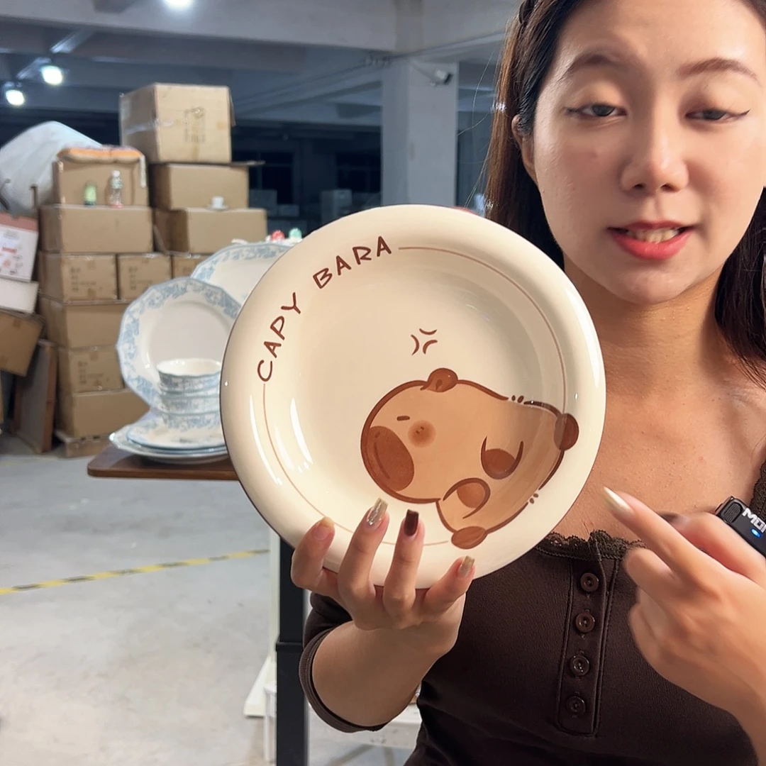 潮州微瑕陶瓷餐具8寸