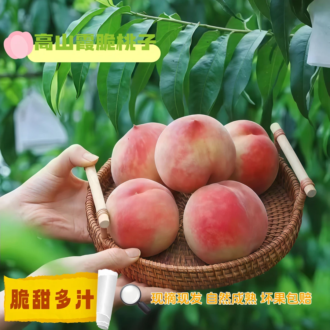 【李书记推荐】四川高山霞脆桃子新鲜采摘脆甜多汁5斤装