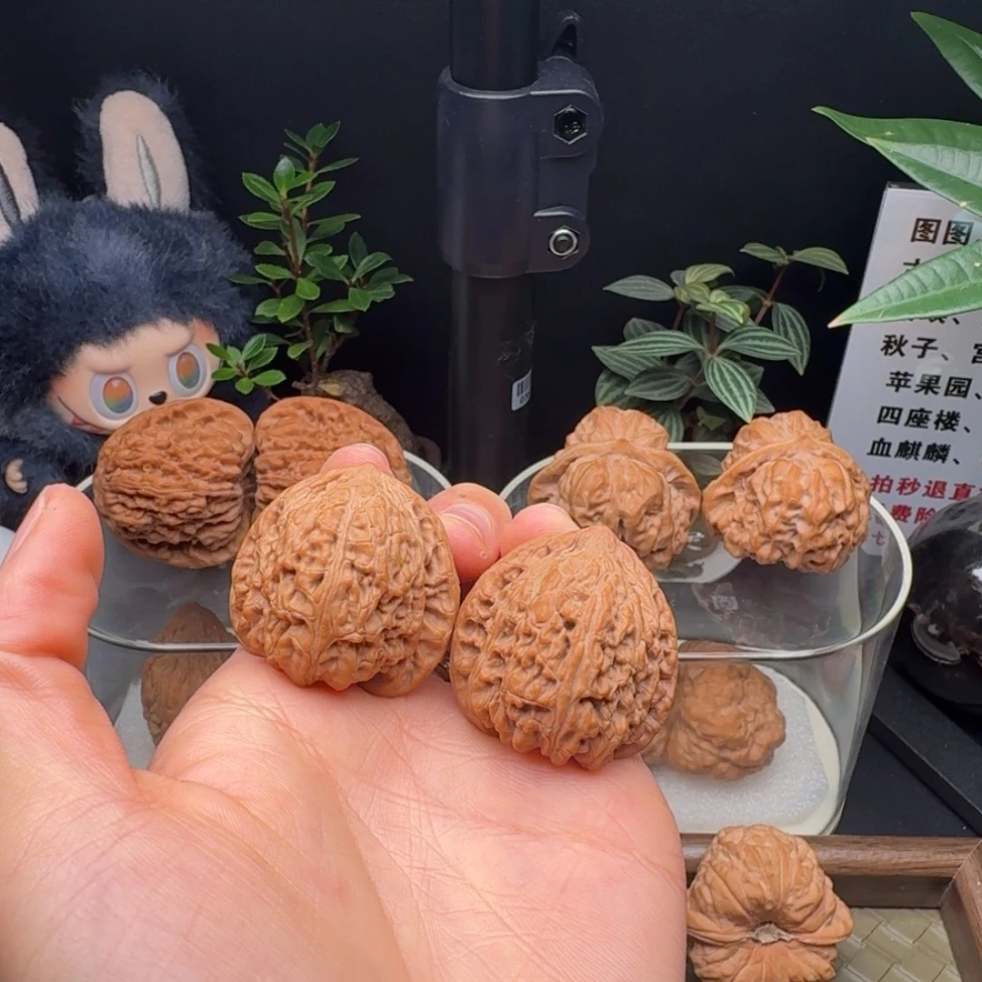 吊坠龙脊菩提全品承德密纹34