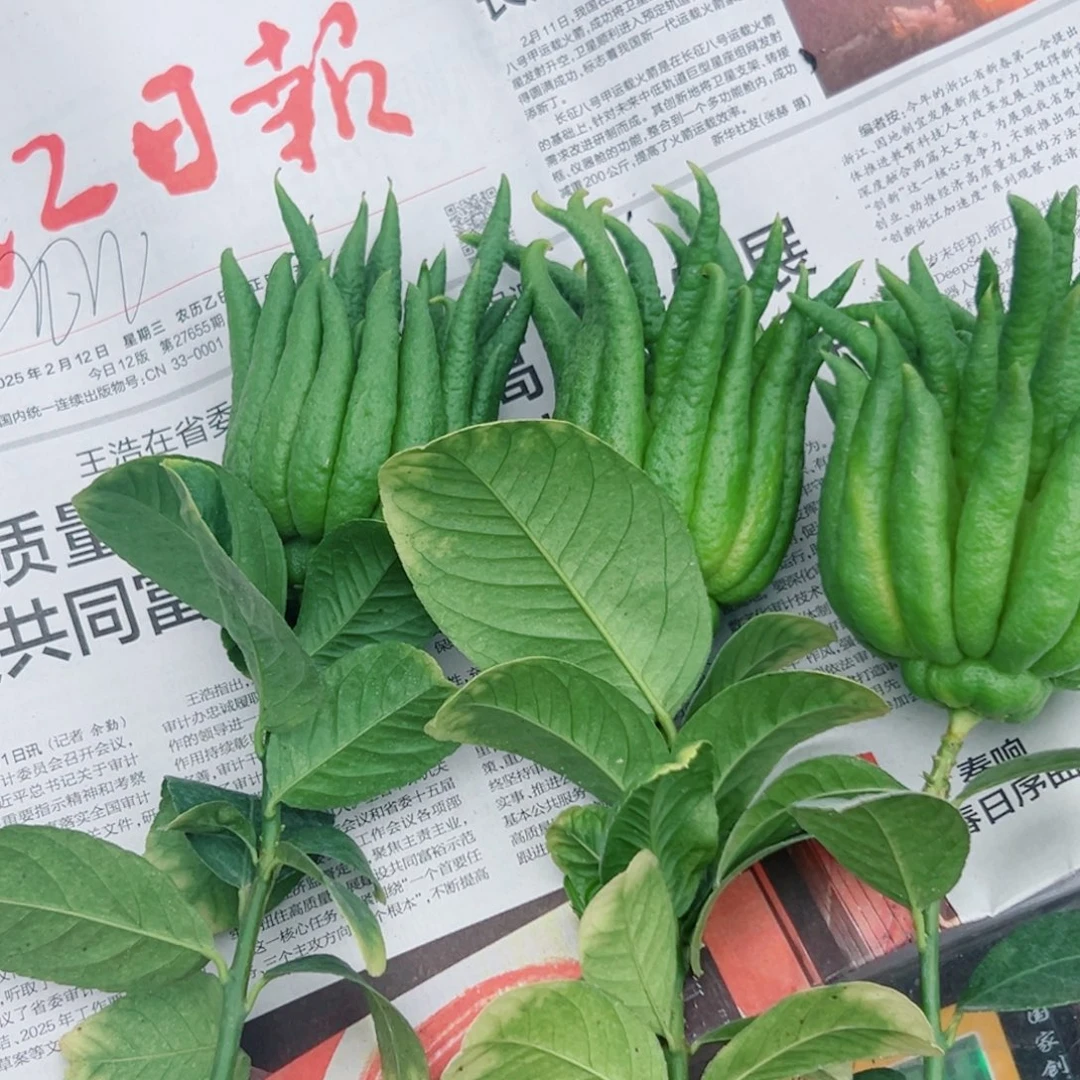 雪***～完全开放阿里咯哦哦OK困哦