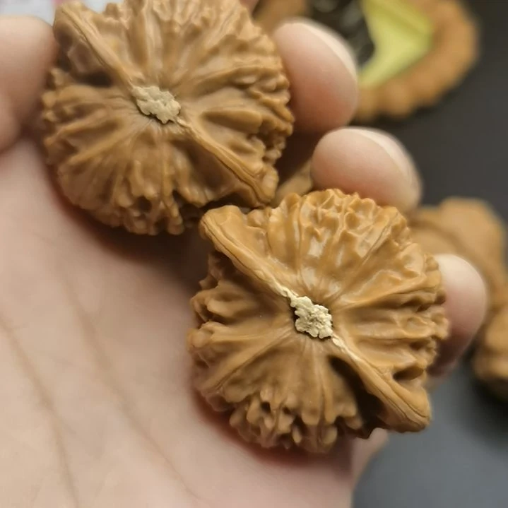 文玩核桃把件41尺宫灯狮子头