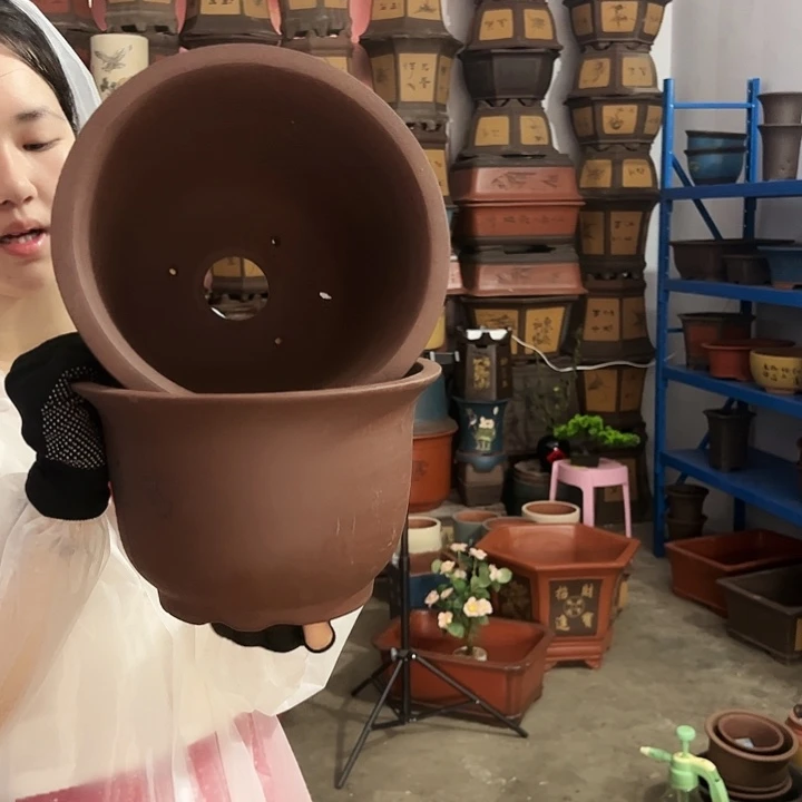 25+25平角金钟花盆花盆