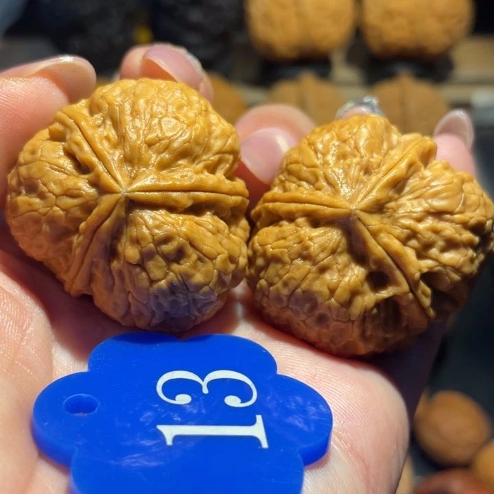 老树黄金三棱尺寸34