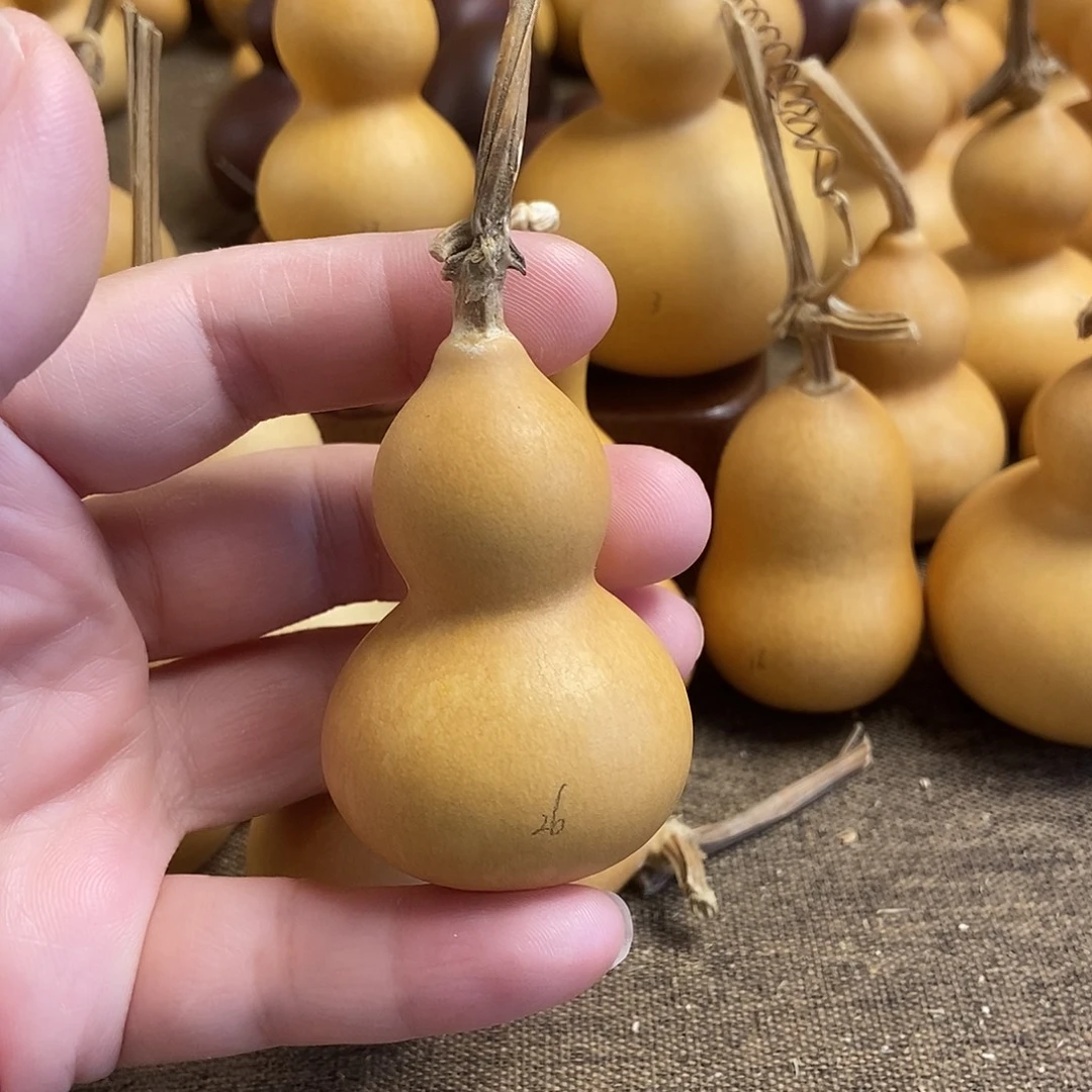 文玩葫芦 完美主义者 慎拍26