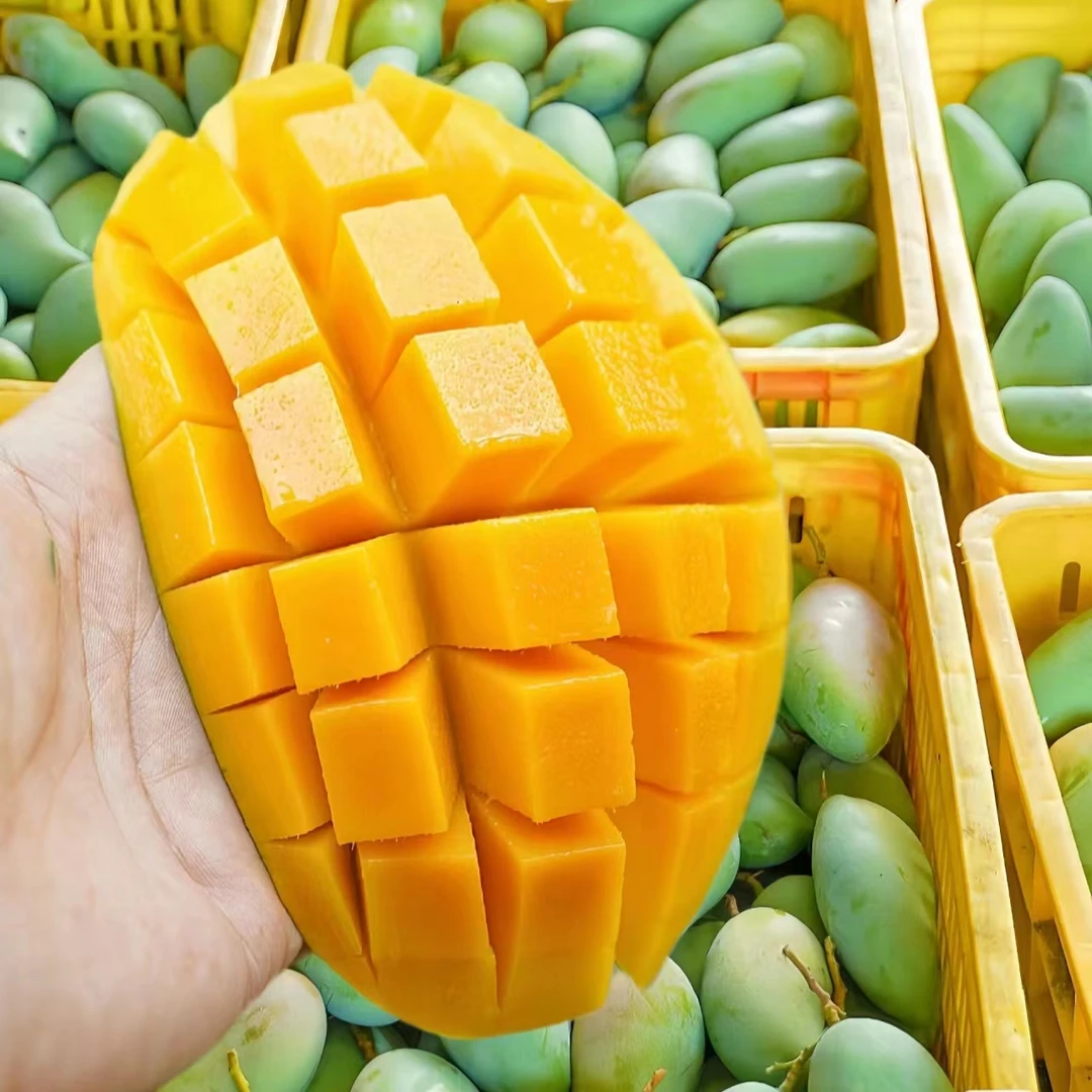 【带箱5斤】广西大青芒单果400g-1000g大果净重4.5斤到手4-7个C