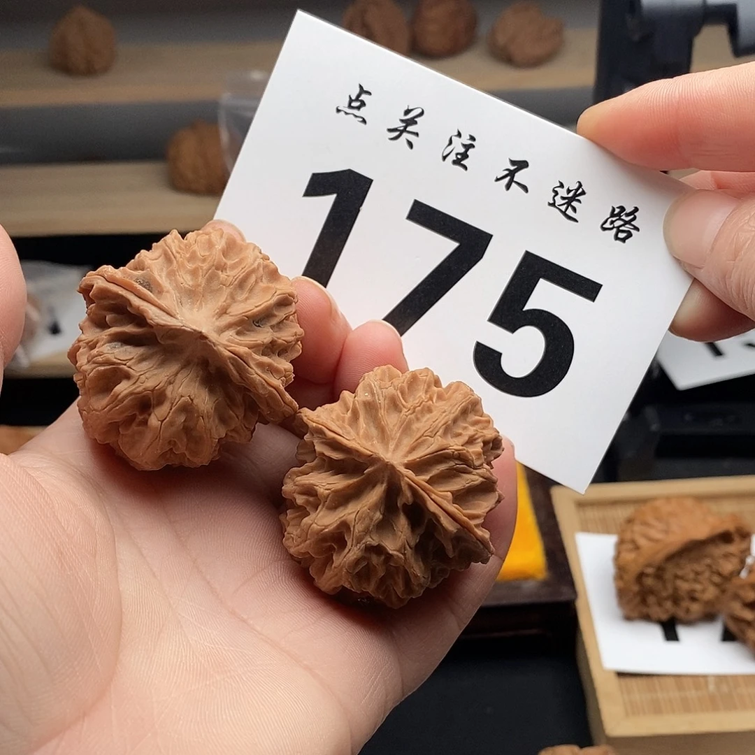 核桃41苹果园 175