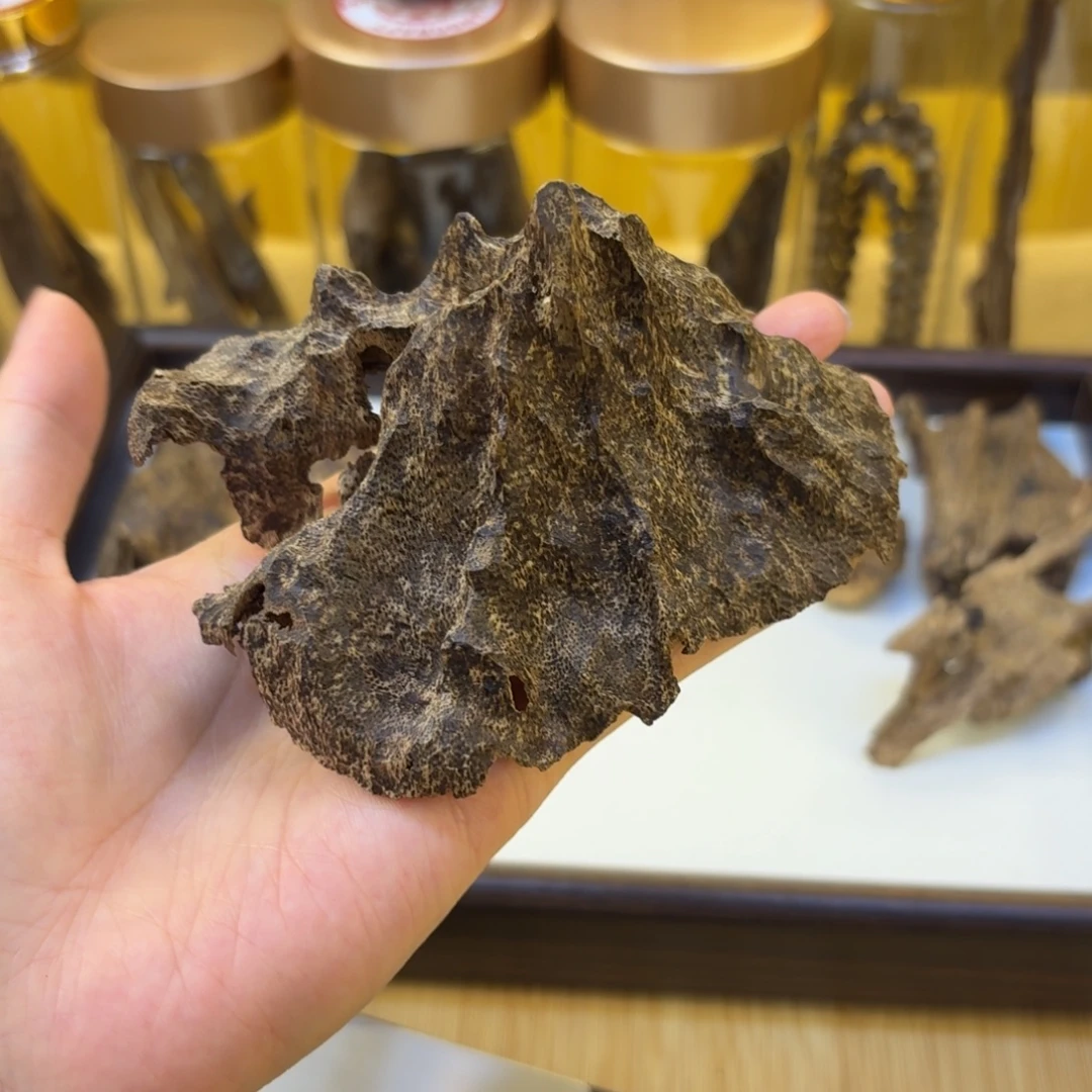 淳***琥海南黑油老顶铁头14克