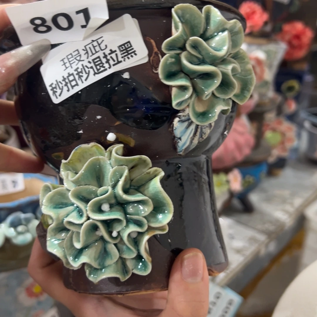 瑕疵801 爱退拉黑多肉满20发货