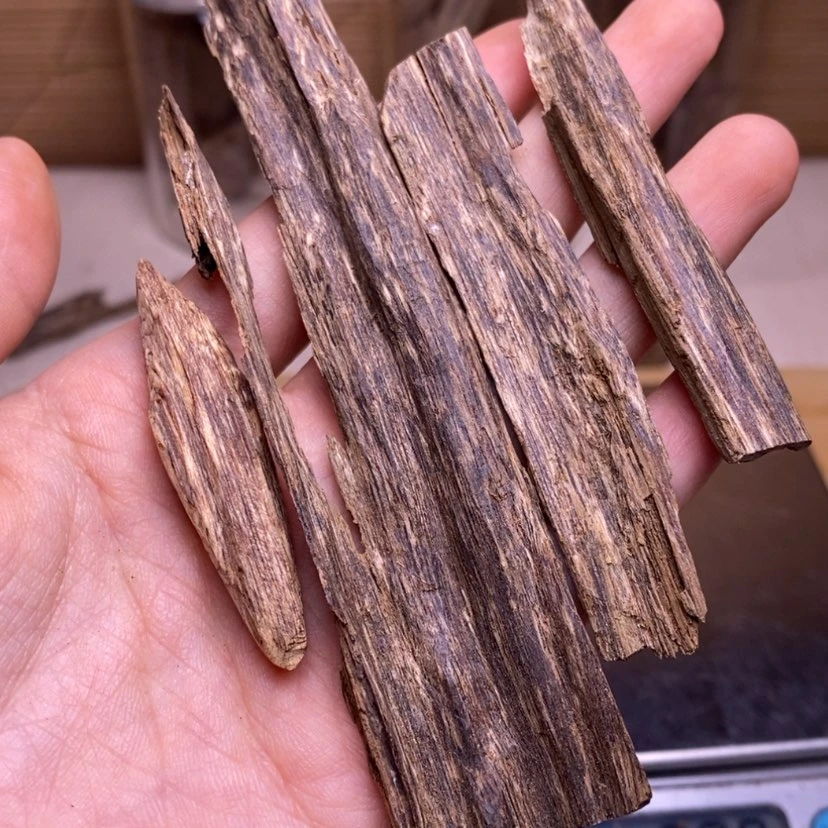 【闪购商品】树心油6.5克