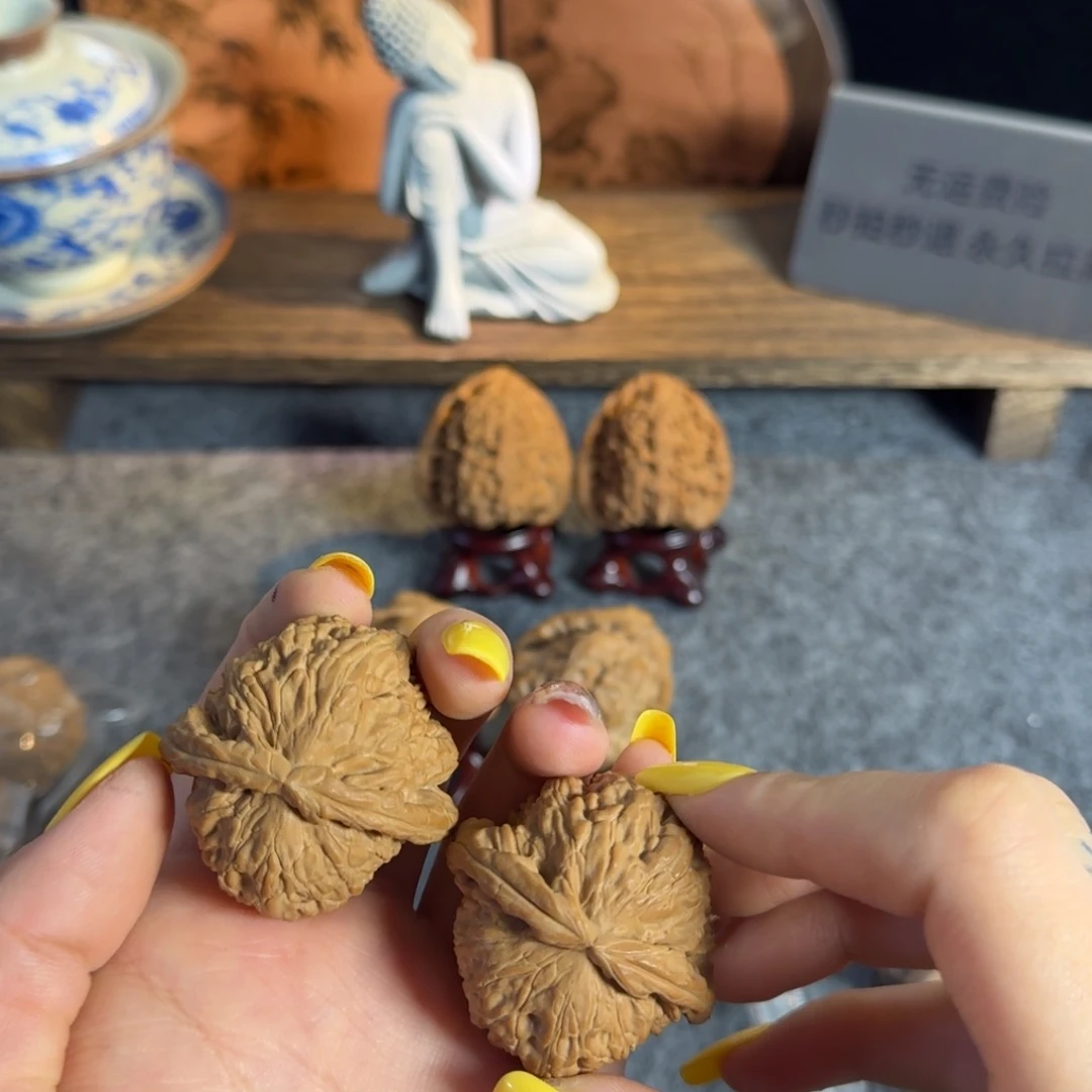 全品4142白狮子老树闷白