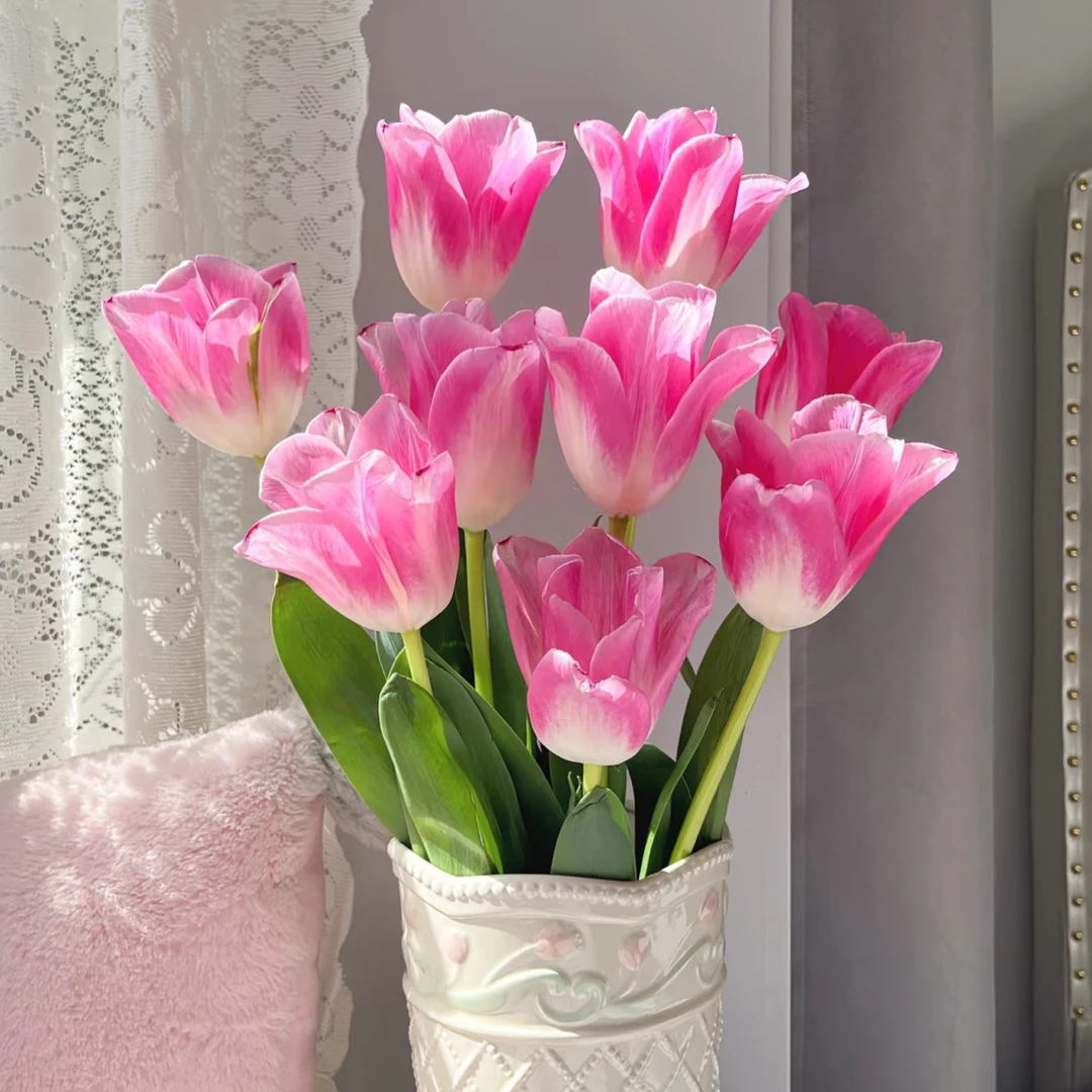 【郁金香】种球耐寒花卉水培土培适合室内外阳台盆栽