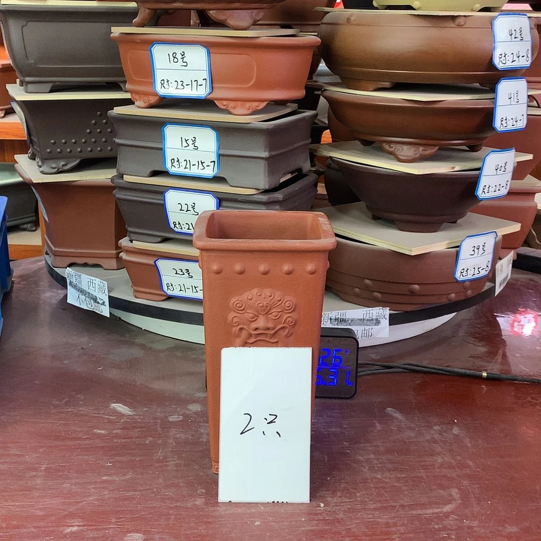 梅**弄98米，自选三只！