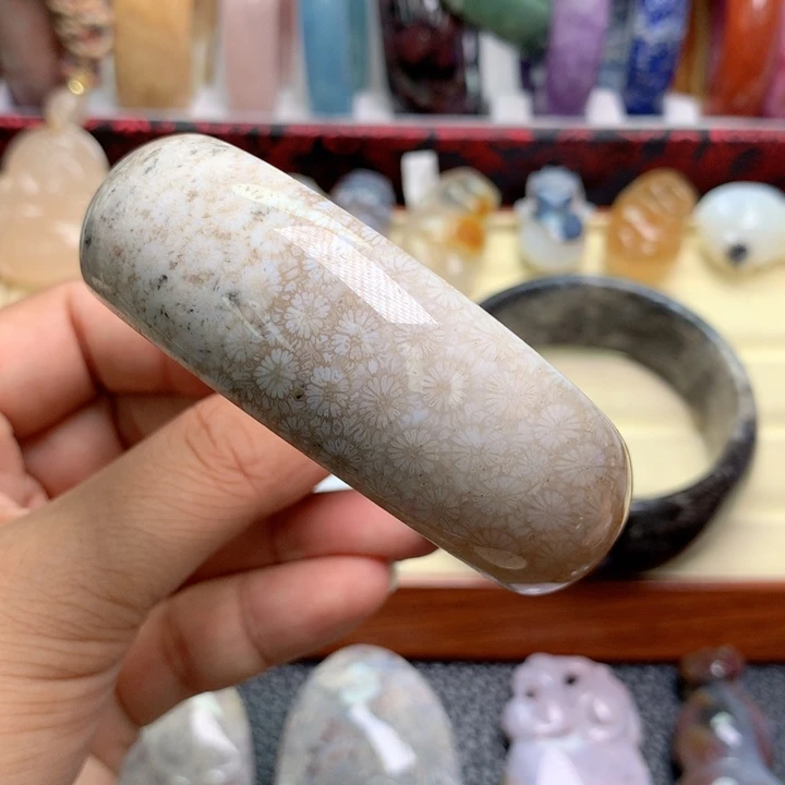 硅化珊瑚（珊瑚玉）未镶嵌颈饰闪*