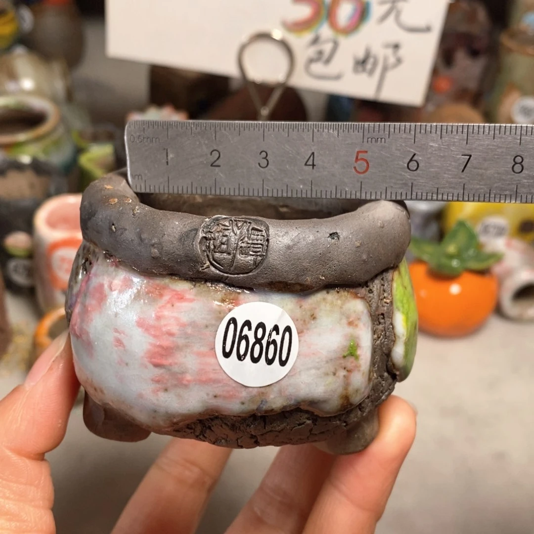 花盆拍3送一个小礼物