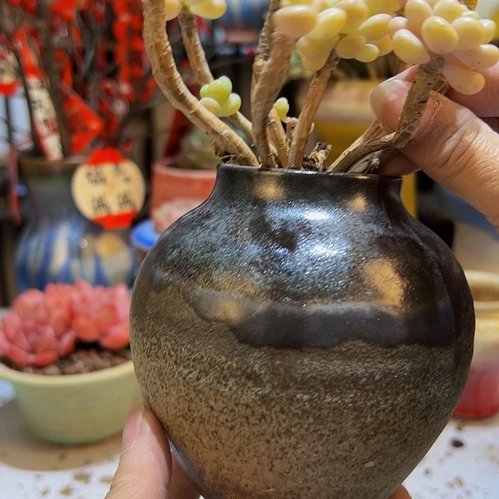 景德镇陶瓷2单包邮