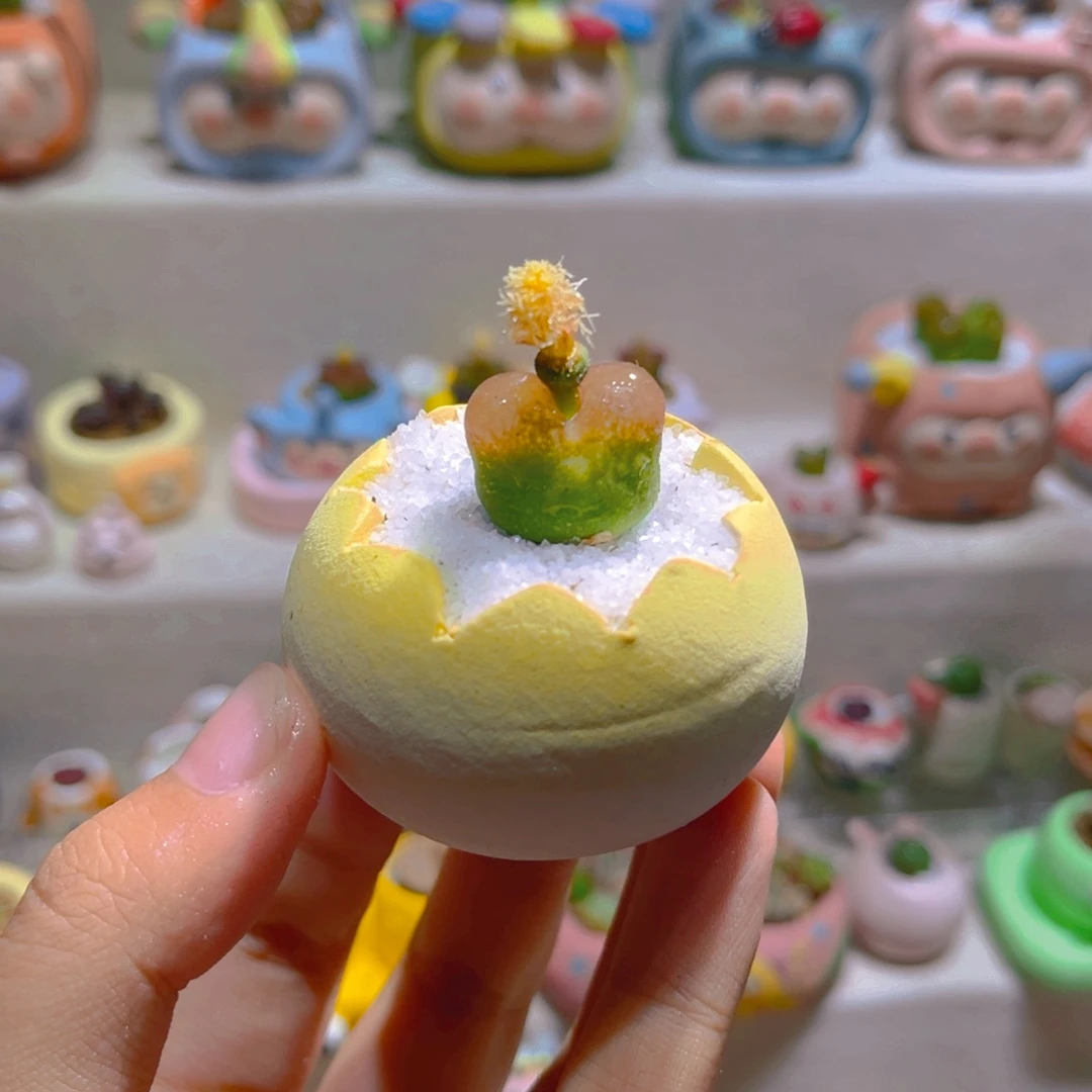 032高端多肉带盆土一套8