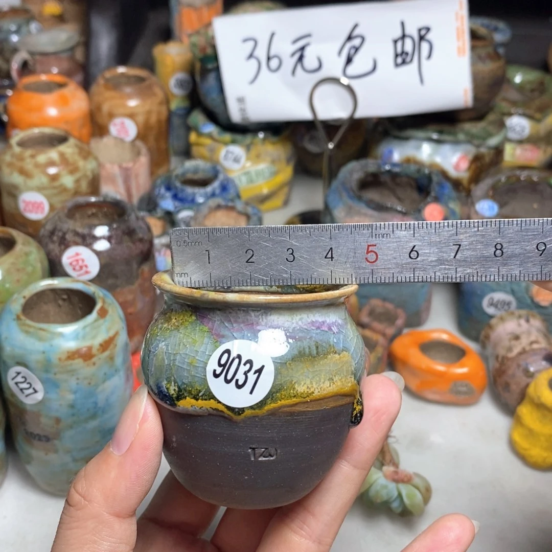 拍5送一个小礼物