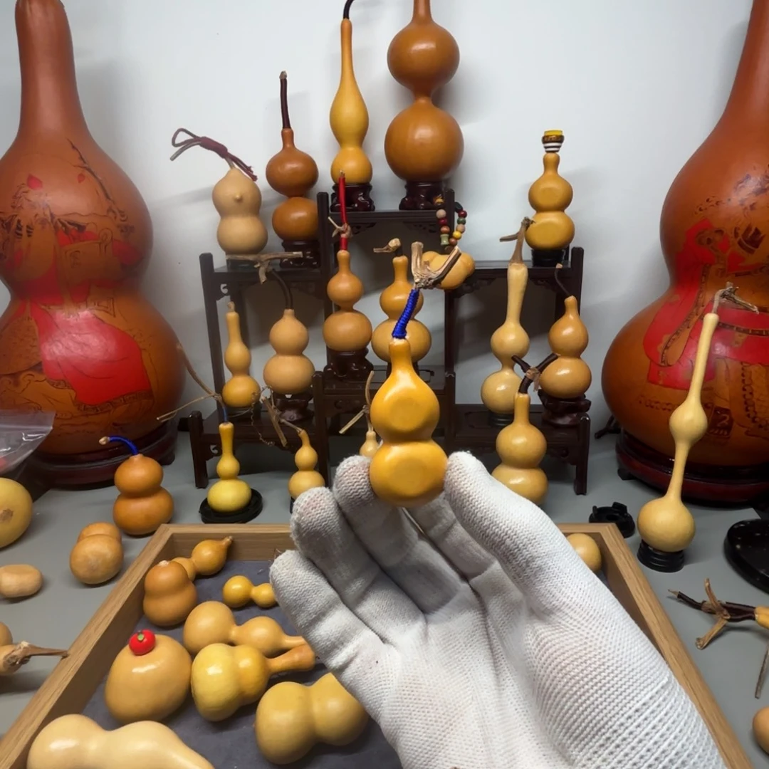 只***鑫哈哈哈哈哈哈哈哈哈哈哈哈哈