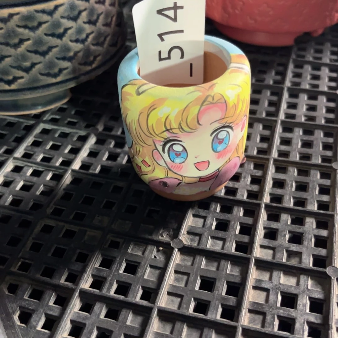 红陶韭***?编号514花盆1个