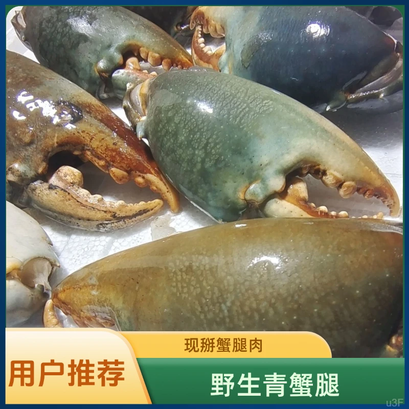 新鲜青蟹腿特大蟹钳鳌大肉多海鲜水产活蟹青蟹脚野生现掰蟹脚钳