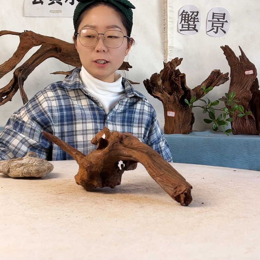 沉木造景寄居蟹景